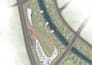 render architectural plans for you